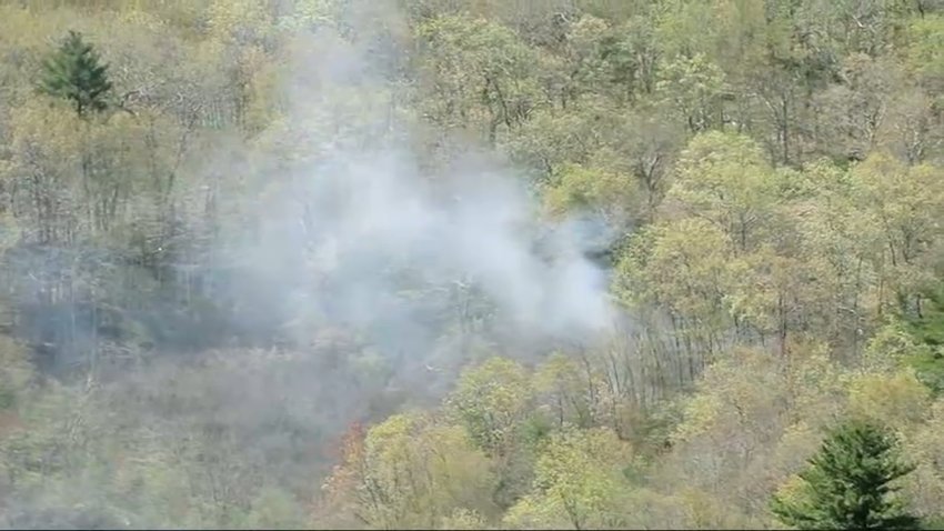Smoke showing above the trees in a wooded area