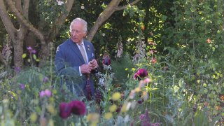 King Charles III, patron of the Royal Horticultural Society, walks through the RHS and BBC Radio 2 Dog Garden during a visit to the RHS Chelsea Flower Show at Royal Hospital Chelsea on May 20, 2025 in London, England.